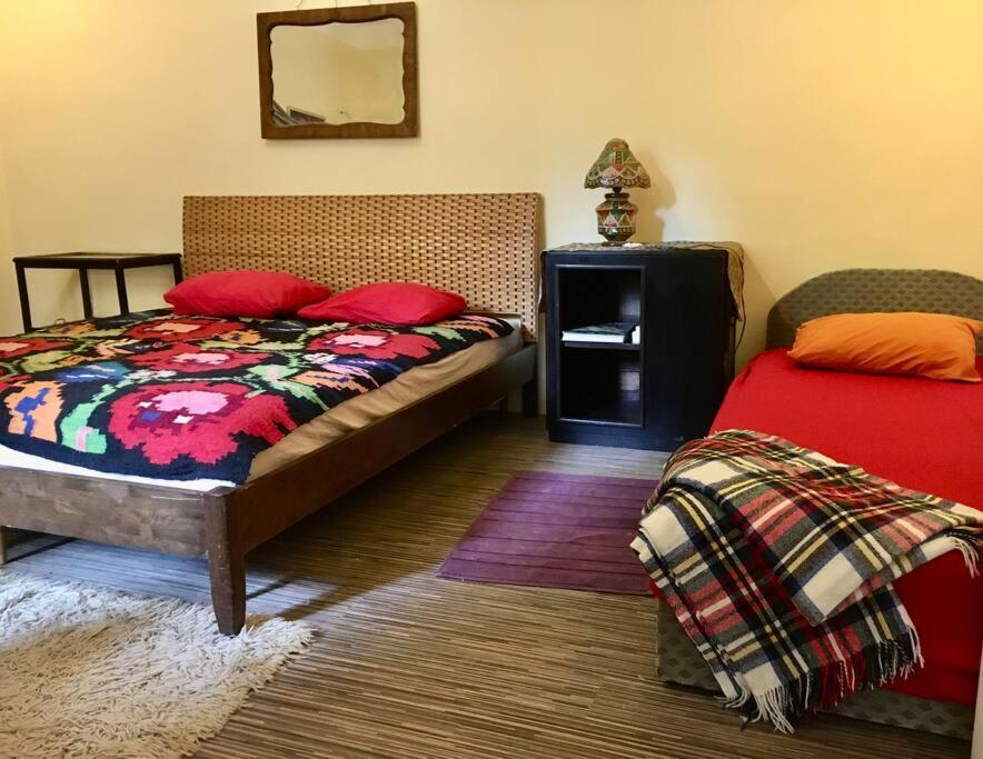 בודפשט Vintage Studio Apartment, Garden And Free Parking מראה חיצוני תמונה