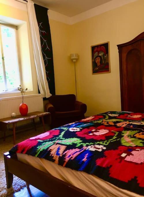 בודפשט Vintage Studio Apartment, Garden And Free Parking מראה חיצוני תמונה