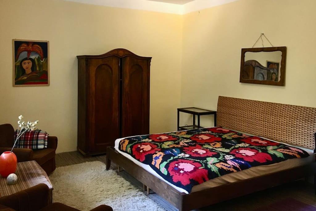 בודפשט Vintage Studio Apartment, Garden And Free Parking מראה חיצוני תמונה