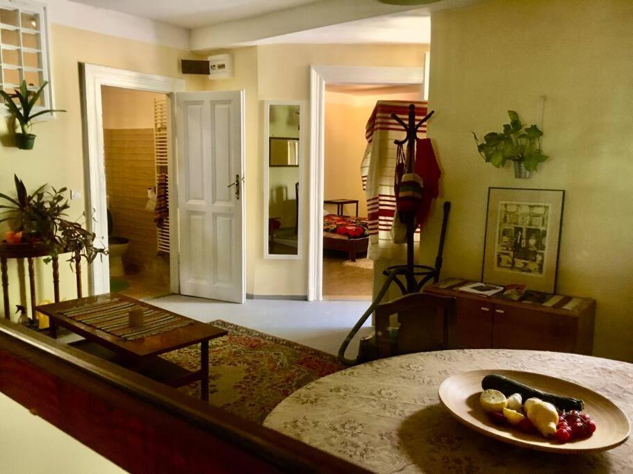 בודפשט Vintage Studio Apartment, Garden And Free Parking מראה חיצוני תמונה